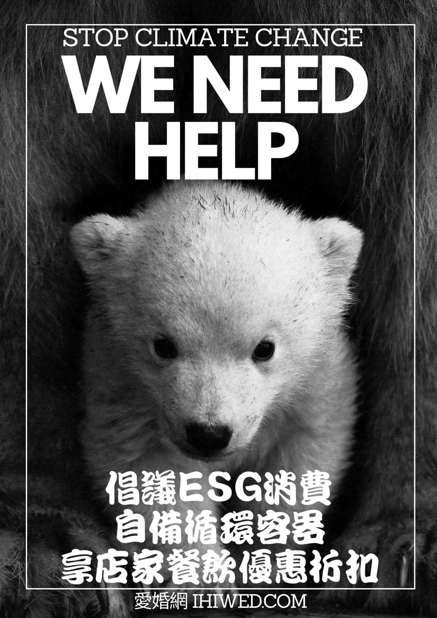 倡議ESG消費 優惠券
